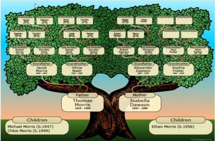 albero genealogico