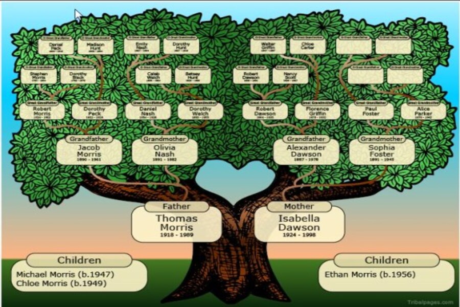 albero genealogico